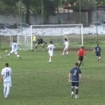 ოზურგეთის მერცხალი
