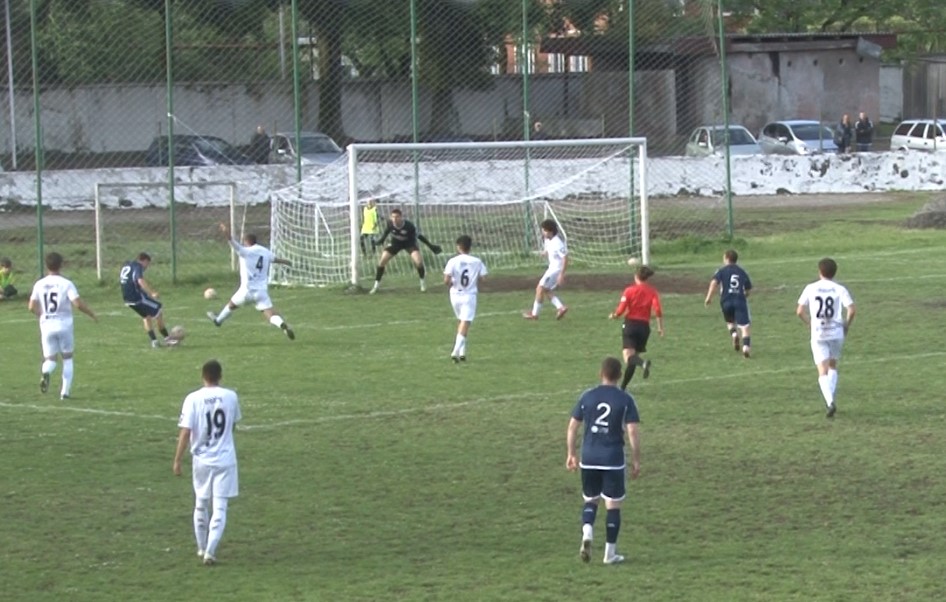 ოზურგეთის მერცხალი